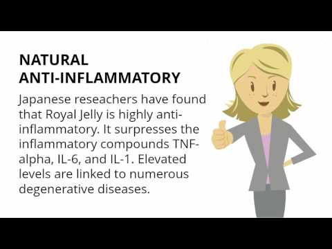 Top 10 Health Benefits of Royal Jelly