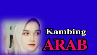 Download Lagu kumpulan_video_lucu_𝐰𝐚𝐫𝐠𝐚+𝟔𝟐_𝐊𝐀𝐌𝐁𝐈𝐍𝐆 𝐀𝐑𝐀𝐁#duet #hiburansegar #hiburanrakya #lucu #funny  MP3
