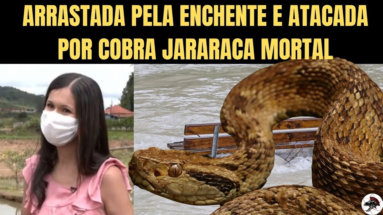 Atacada por Jararaca e Arrastada por Enchente em MG | Biólogo Henrique o Biólogo das Cobras