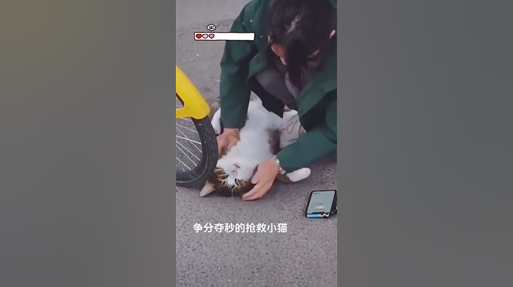 幸亏遇到你，我的复活天使~ 猫猫过马路不幸被车撞到奄奄一息，恰巧遇到学 兽医的小姐姐路过，赶紧给小猫人工呼吸抢救！ 救活后领养，猫真是幸运呀~ #pets #movie #喵哥是萌新 #不要上推薦