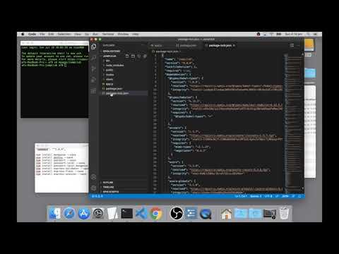 18 Package JSON
