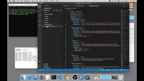 18  Package JSON and Nodemon