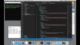 18  Package JSON and Nodemon