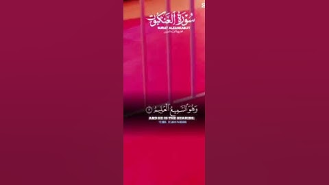 قرآن كريم 🤍 تلاوات خاشعه ❤️#متابعه_ولايك_فضلا_وليس_امرآ #اكسبلور