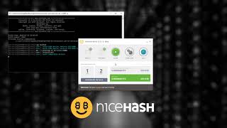 How to start with NiceHash mobile Guide How to start with NiceHash mobile Guide