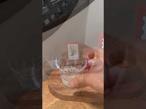 اسبريسو روز البرازيلي  اكسبلور