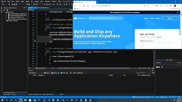 Using SQL Server Docker Images for Development