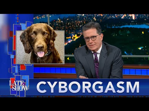 Stephen colbert’s cyborgasm: dogs play video games | the world’s fastest shoes