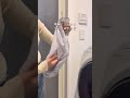【無印良品 隠れた名品5選】#無印良品週間 #無印良品 #便利アイテム