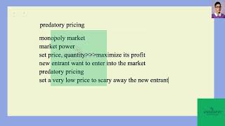 [Economics] What is predatory pricing?