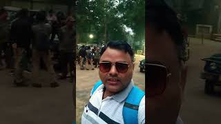 prayagraj to Bandhavgarh Tiger Safari #vlog #shorts