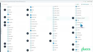 How to Enable or Disable PHP Extensions Using the CloudLinux Selector in Plesk   Fluccs