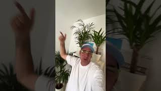 House Clics Tip Of The Day Shapeuk Aka Shapeshifters - Lolas Theme 2004