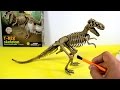T-Rex Skeleton - Dinosaur excavation kit  | Esqueleto Tiranosaurio Rex de juguete para excavar - 4/7