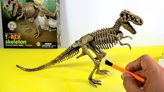 T-Rex Skeleton - Dinosaur excavation kit  | Esqueleto Tiranosaurio Rex de juguete para excavar - 4/7 screenshot 2
