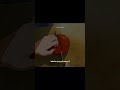 حتى ولو الأيام تشبه بعضها فتكرار الأيام وأنت بعافيه ن عمة