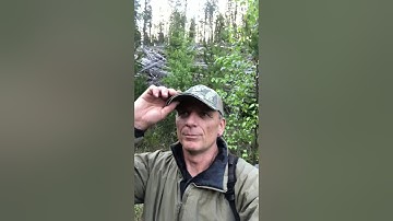 Found A Print, Minutes Ago