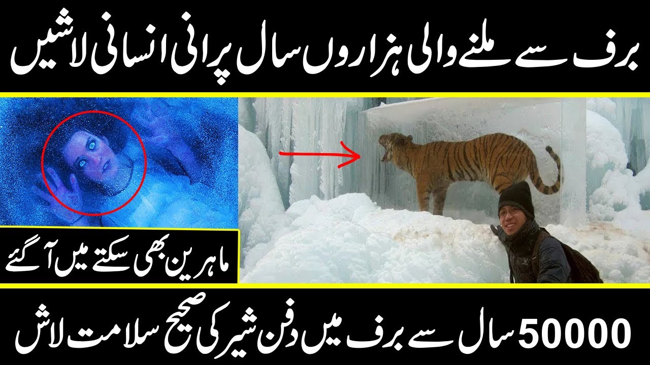 Most MYSTERIOUS Discoveries Made Frozen In Ice in urdu hindi | Urdu ...