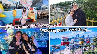 Surprise Pour La Lune De Miel De Cal Découverte De Busan En Corée