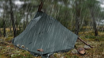 Tarp vs Rain - Camping Under a Tree in a Bushcraft Shelter