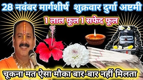 28 नवंबर शुक्रवार दुर्गाष्टमी के दिन 1 लाल फूल 1 सफ़ेद फूल वाला उपाय जरुर करे | Pradeep Ji Mishra🙏