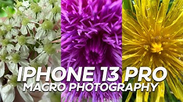 IPhone 13 Pro - Macro Photography Mode is INSANE!🤯