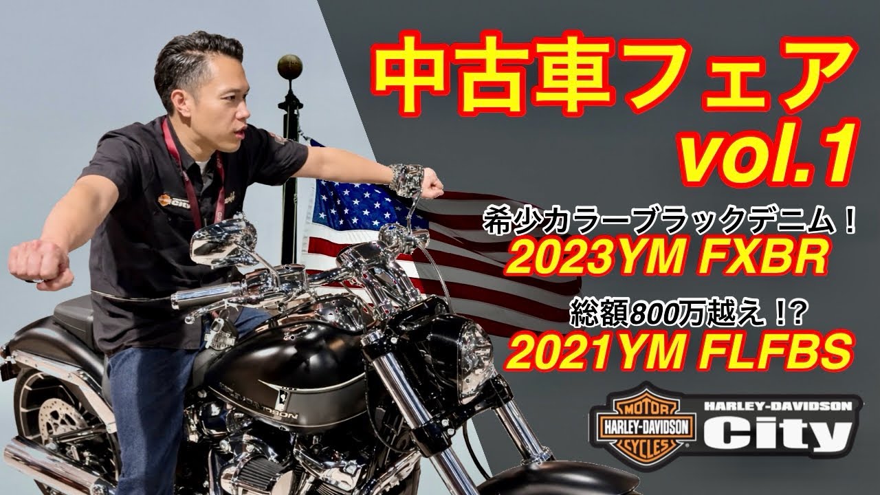 Used Car Fair] Japan