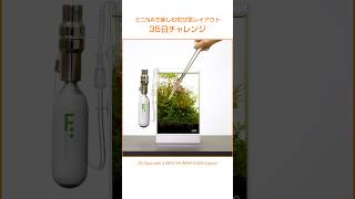 3つのスタイルで楽しむ佗び草