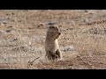 Namibia -  Natur-  und Tierbeobachtungen  (2)
