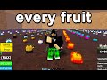 I rolled 1000 fruits in blox fruits