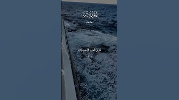 تلاوة مؤثرة😌🎧#راحة_نفسية#معاذ_صيام#تلاوة_خاشعة#سورة_يس#قرآن#quran#القرآن_الكريم
