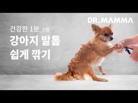 건강한 1분 - 5편 강아지 발톱 쉽게 깎기 | 닥터맘마 수의사팀