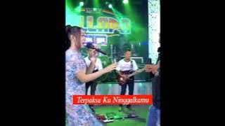 Tak Tunggu Balimu - Brodin Ft Fira Azzahra || Story Wa