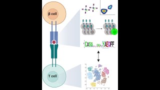 Webinar:   T Cell Antigen Discovery: Experimental & Computational Approaches