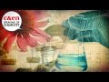 The Quest To Make Any Molecule: Total Synthesis with Hosea Nelson - Speaking of Chemistry