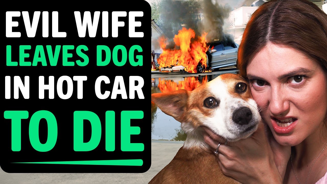 ⁣EVIL WIFE Leaves DOG In HOT CAR to DIE! , What Happens Next Is Shocking!