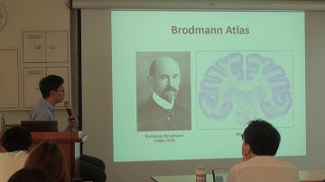 Class 4 Human Brain Atlas