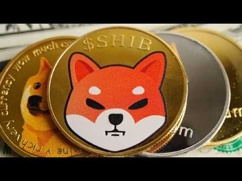 PARA PEMINAT BESAR SEDANG MEMBUANG SHIBA INU... HARGA BELI 6-7 NOL AKAN SEGERA HADIR!