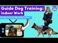 Guide Dog Skills: Indoor Work at the Mall from GoPro Dog View!