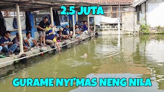 Gilaa kolam ini di luar dugaan !! awalnya di sepelekan ternyata mengejutkan dengan guramenya