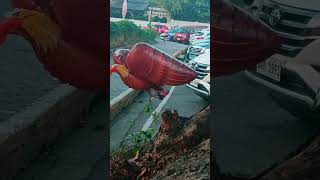 #flying eagle balloon #shorts #youtubeshorts