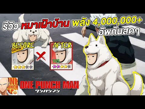 รีวิว หมาเฝ้าบ้านแมน No.1 เซิฟ 2 พลัง 4,000,000+ อัพกันสดๆ  