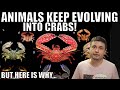 Some Animals Keep Turning Into Crabs But Here Is What It Means