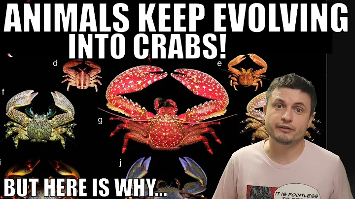 Some Animals Keep Turning Into Crabs But Here Is W...