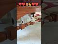 #cat🐈#catlover💕#catvideos🥰#cats😻#funny🤣#comedy😜#viral#africa#trend#tamil#goldtenx@lifeofeyal1392