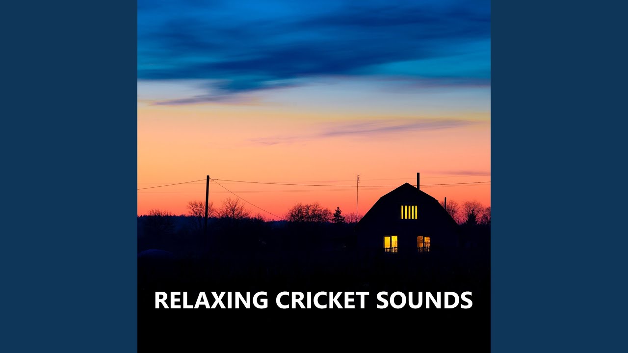 Dynamic Outside Cricket Sounds