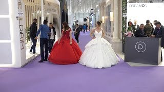 صباحيات من تركيا