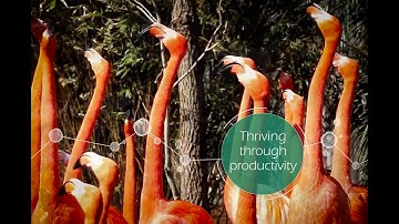 Servotronix  - Perform better. Naturally