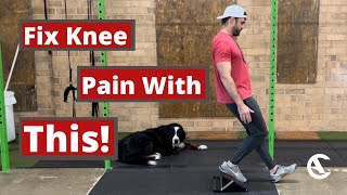 Knees Over Toes Heel Tap [Build Strong Knees!]