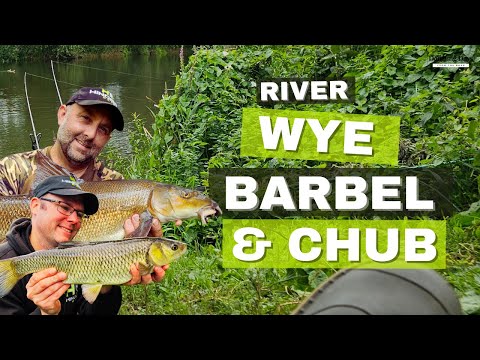 THE GREAT RIVER WYE - THE HUNT FOR BARBEL & CHUB